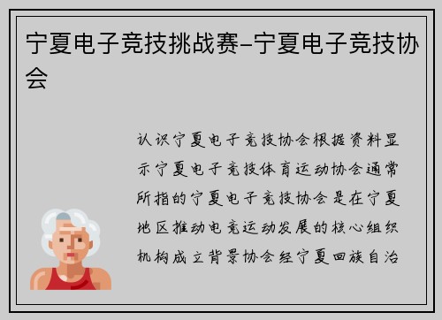 宁夏电子竞技挑战赛-宁夏电子竞技协会